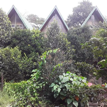 Fireside Inn And Grill Бокете Экстерьер фото